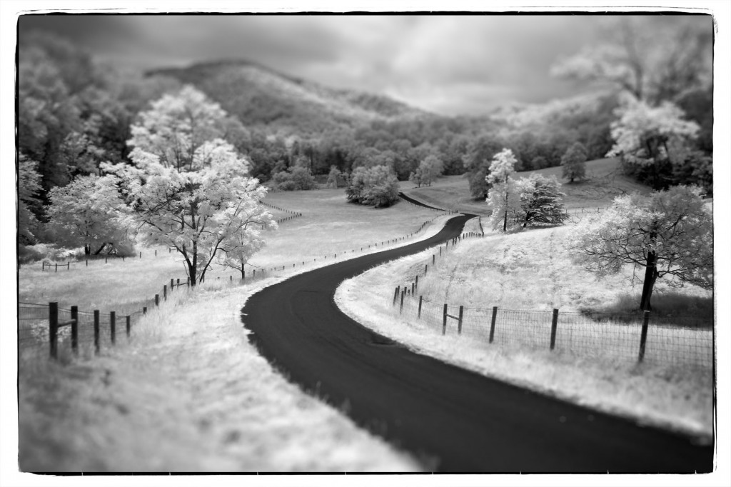 Blog_Photos2012755 Blog_Photos2012755